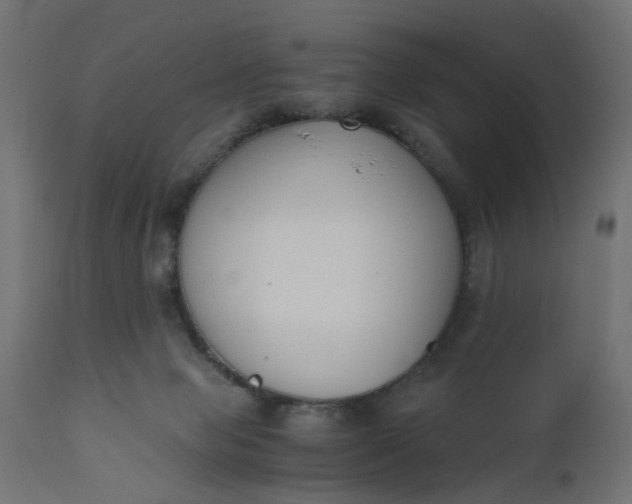 X0000110690077200906261354