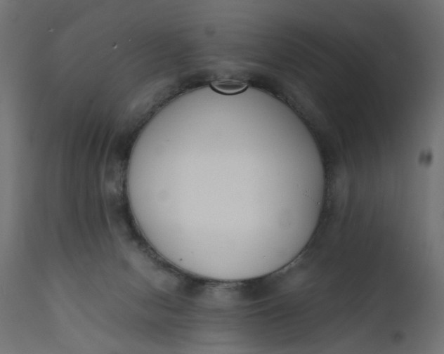 X0000110690078200906261354