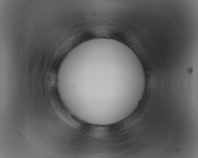 X0000110690081200906261354