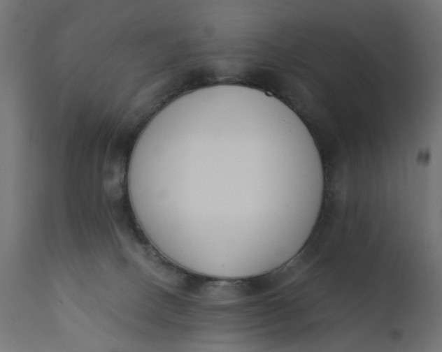 X0000110690082200906261354