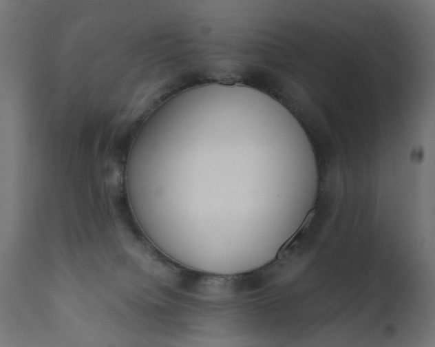 X0000110690084200906261354