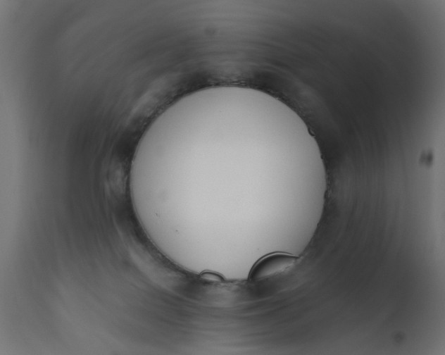 X0000110690086200906261354