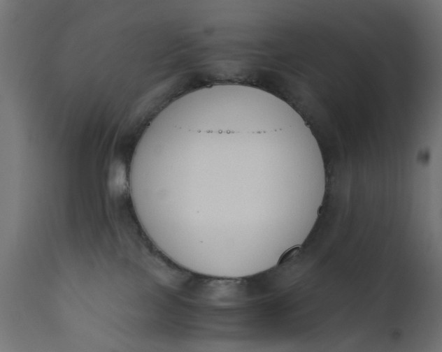 X0000110690089200906261354