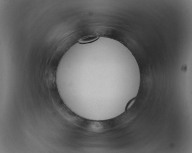 X0000110690091200906261354