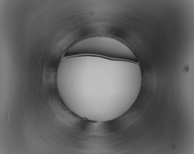 X0000110690092200906261354