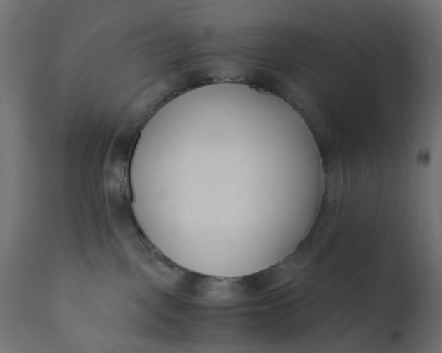 X0000110690093200906261354