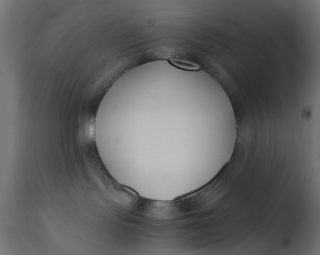 X0000110690095200906261354