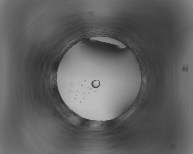 X0000110690096200906261354