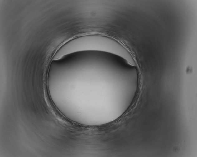 X0000110690097200906261353