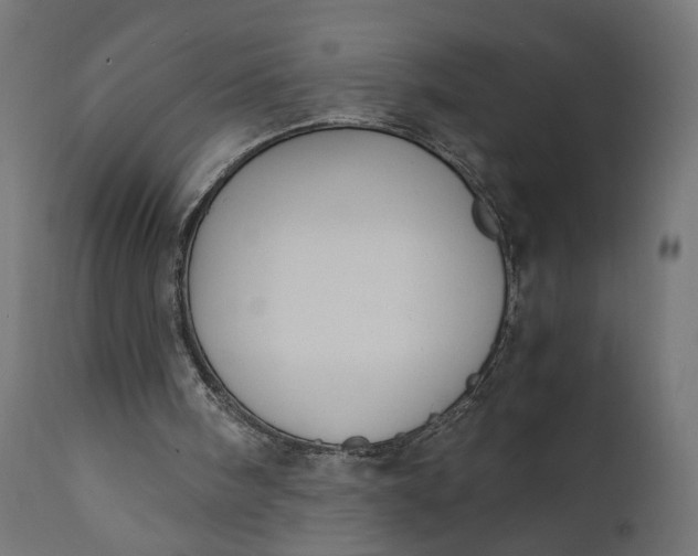 X0000110690098200906261353