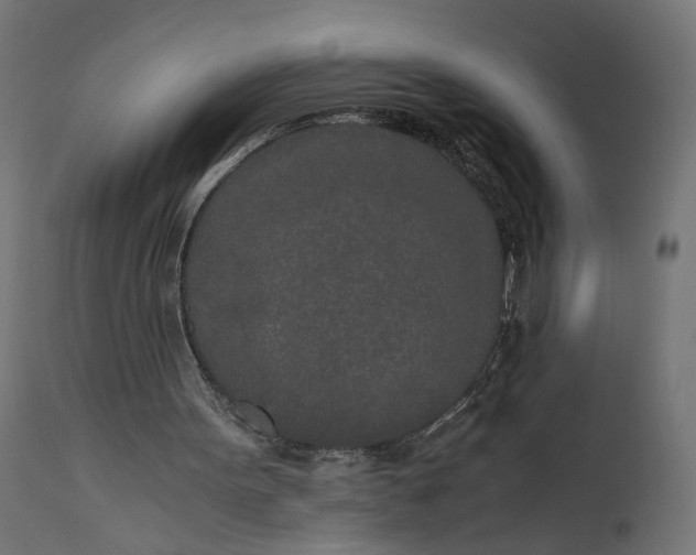 X0000110690099200906261353