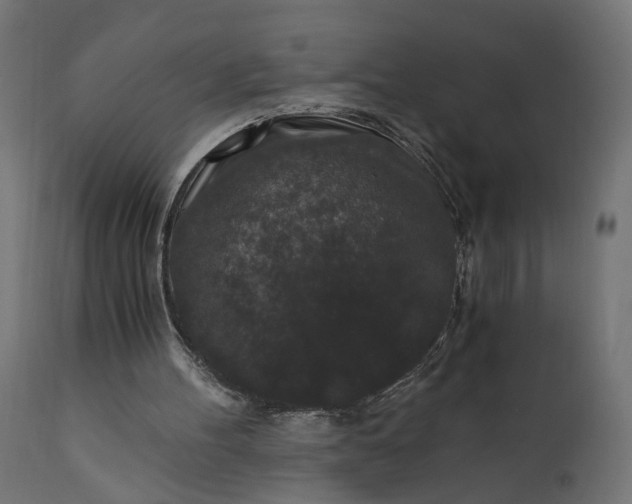 X0000110690100200906261353