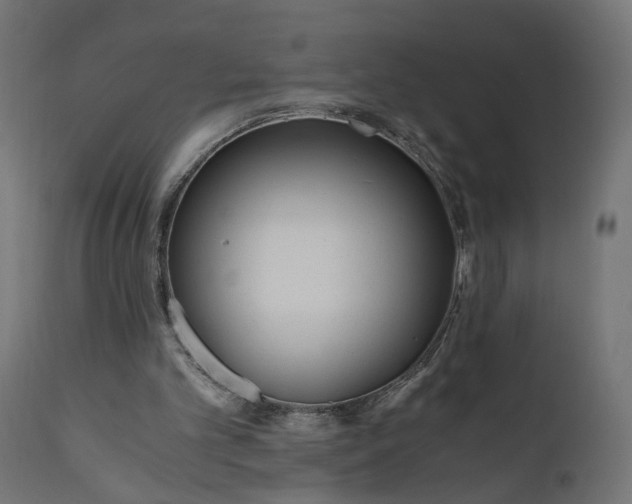 X0000110690101200906261353