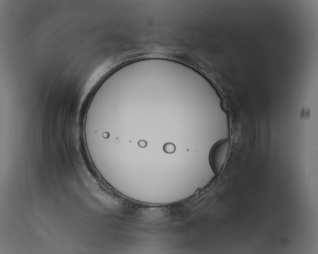 X0000110690102200906261353