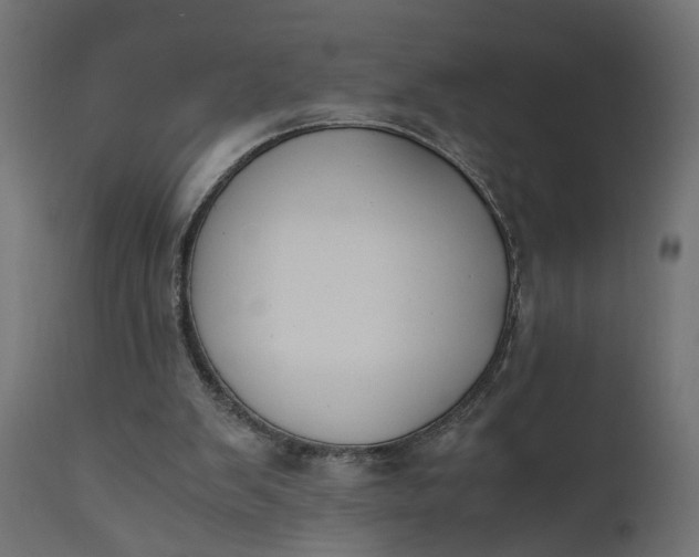 X0000110690103200906261353