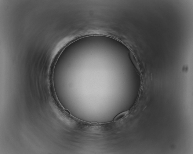 X0000110690104200906261353