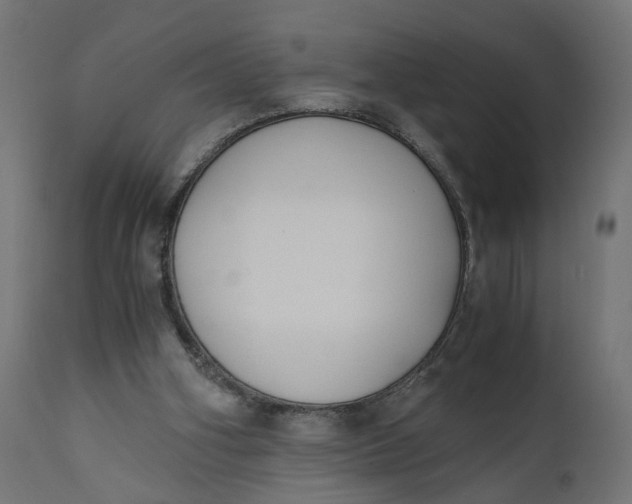 X0000110690106200906261353