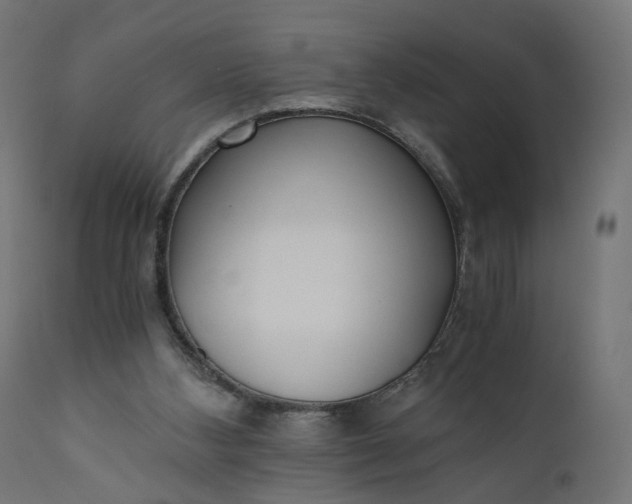 X0000110690108200906261353