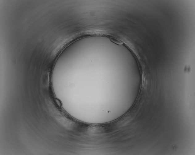 X0000110690109200906261353