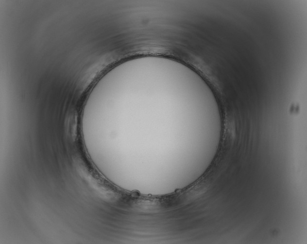 X0000110690110200906261353