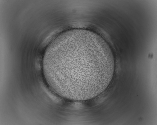 X0000110690114200906261353