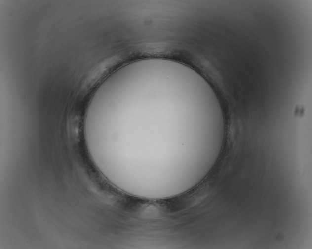 X0000110690115200906261353