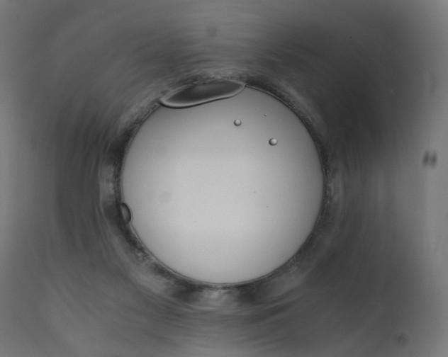 X0000110690117200906261353