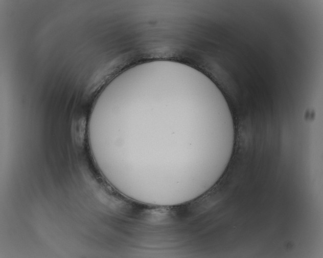 X0000110690118200906261353