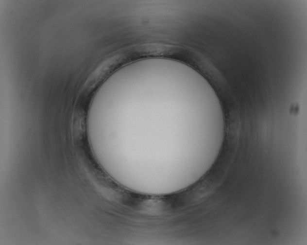 X0000110690119200906261353