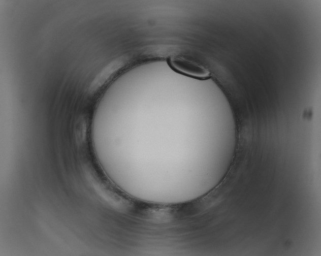 X0000110690120200906261353