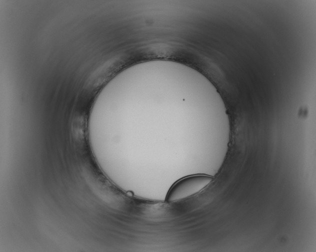 X0000110690122200906261353