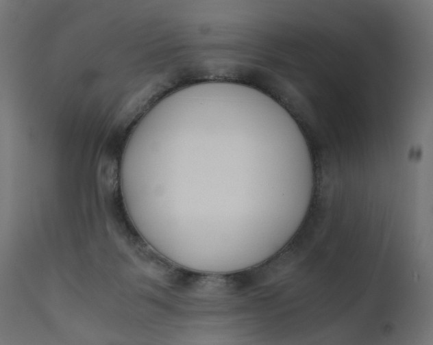 X0000110690123200906261353