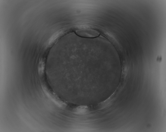 X0000110690124200906261353