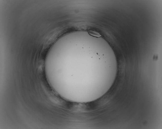 X0000110690125200906261353