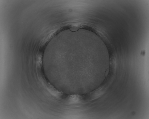 X0000110690127200906261353