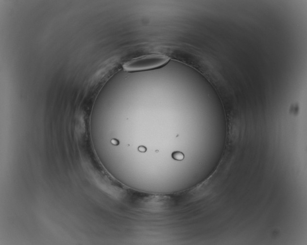 X0000110690128200906261353