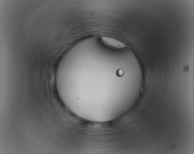 X0000110690129200906261353