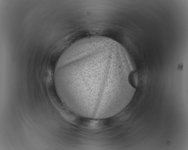 X0000110690130200906261353