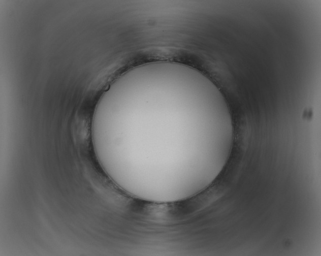 X0000110690131200906261353