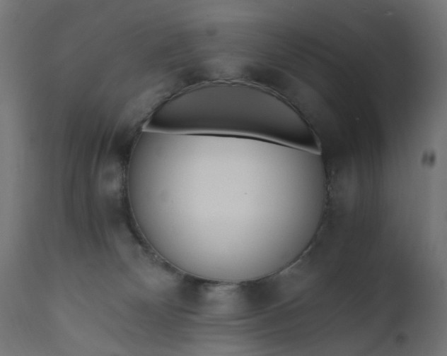 X0000110690132200906261353