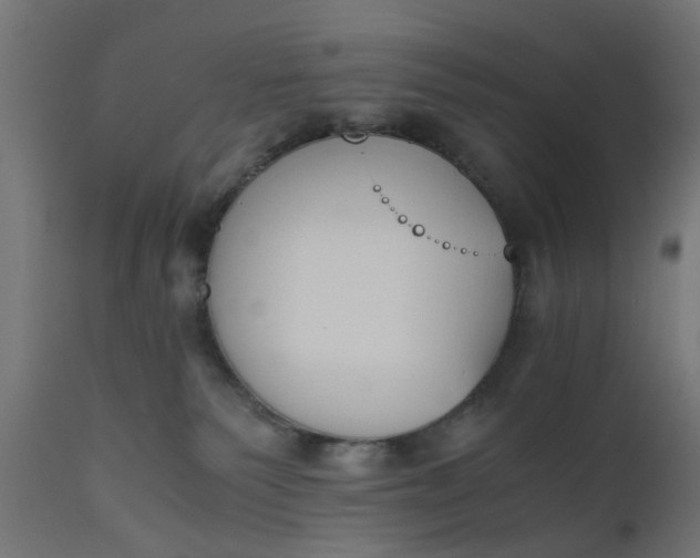 X0000110690135200906261353