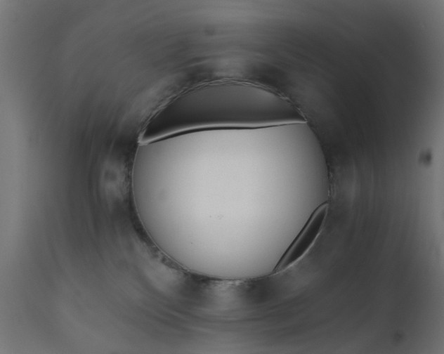 X0000110690136200906261353