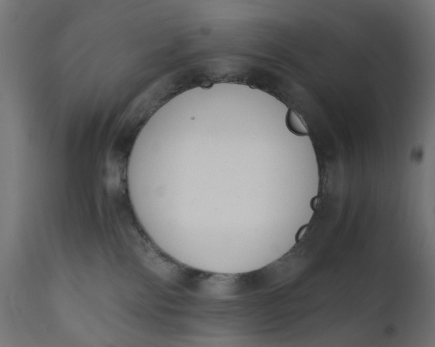 X0000110690138200906261353