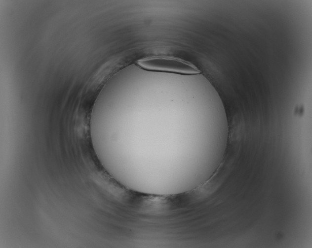 X0000110690140200906261353