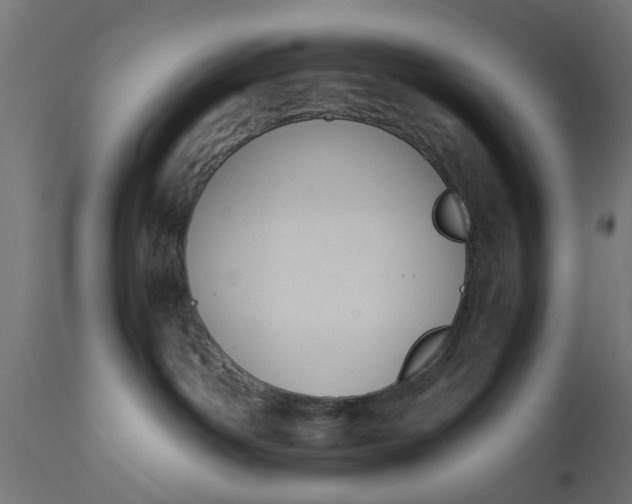 X0000110690142200906261353