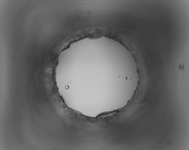 X0000110690144200906261353