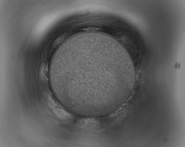 X0000110690146200906261352