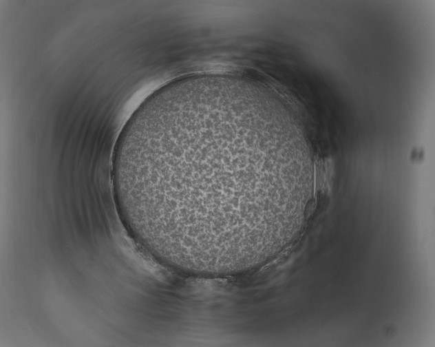 X0000110690147200906261352