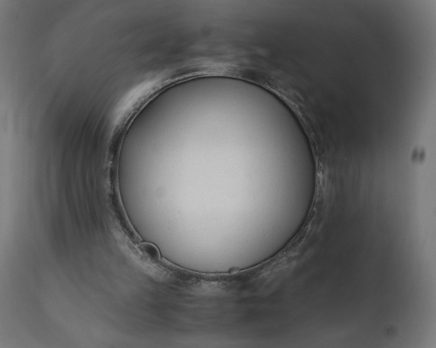 X0000110690149200906261352