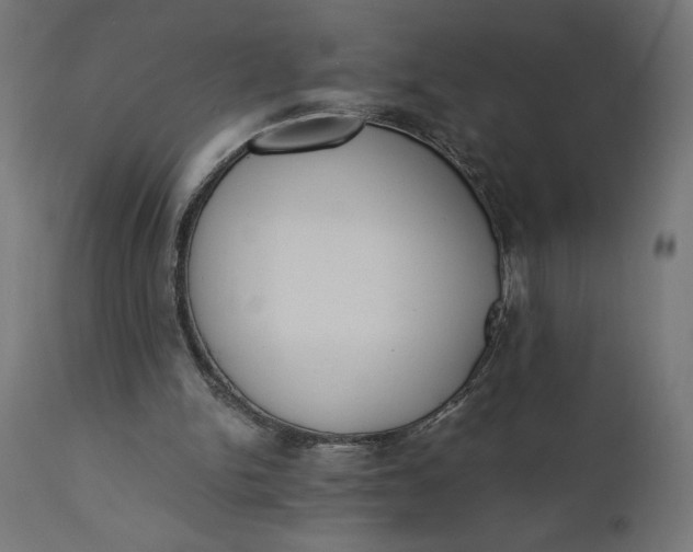 X0000110690150200906261352